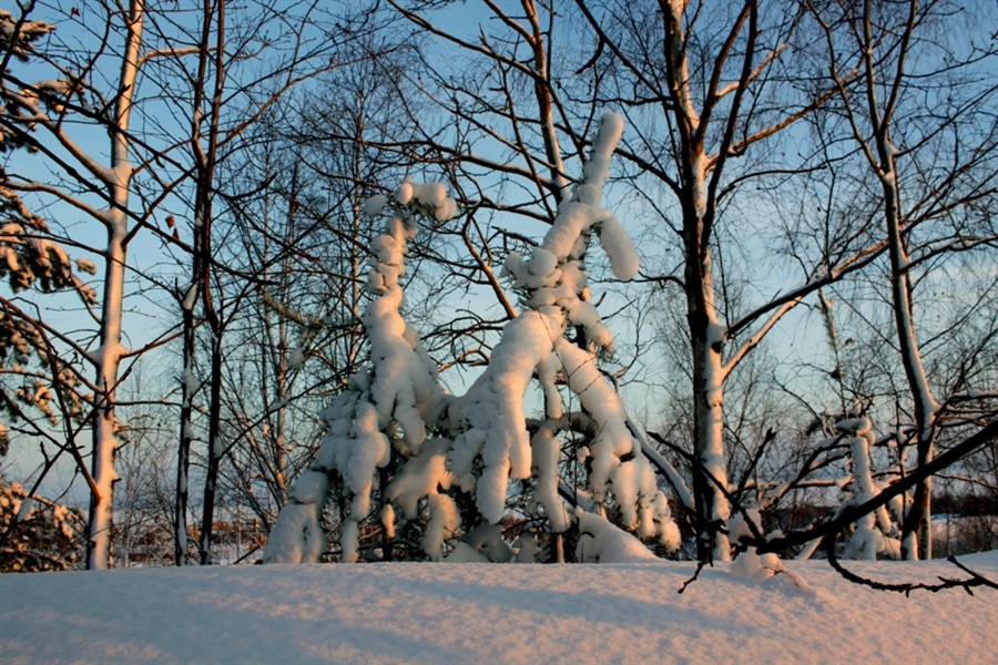 Фото жизнь