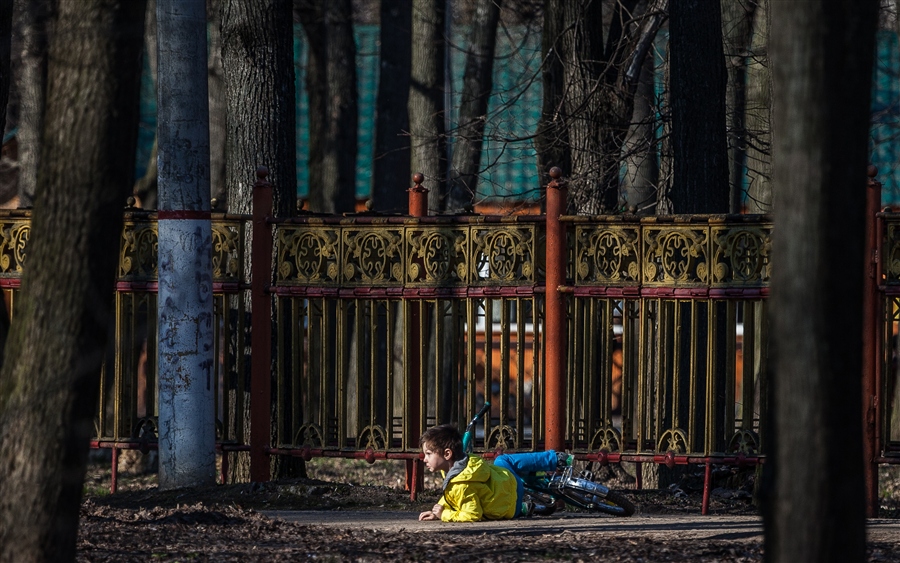 Фото жизнь