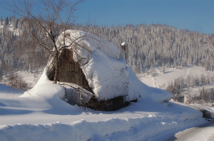Фото жизнь