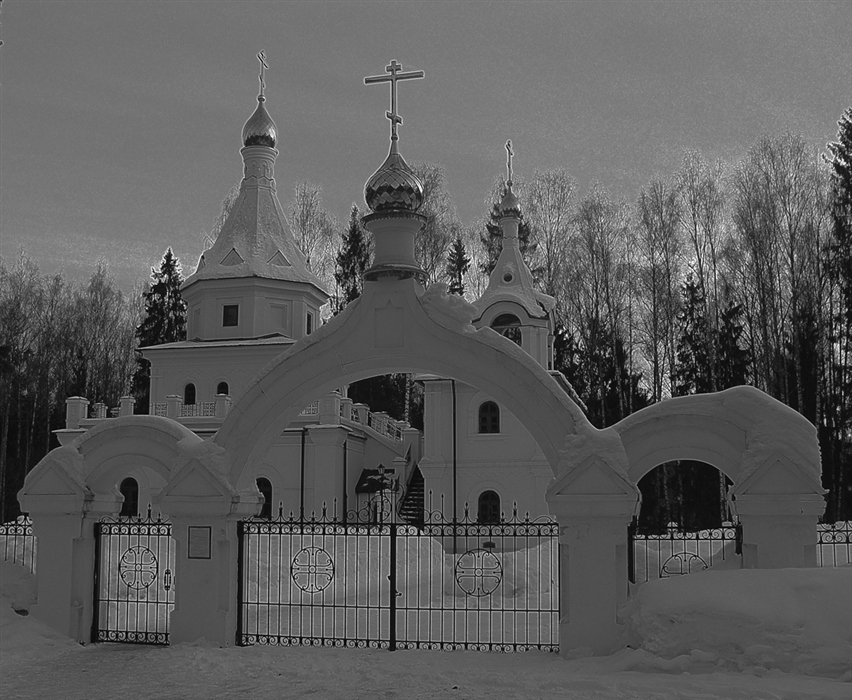 Фото жизнь