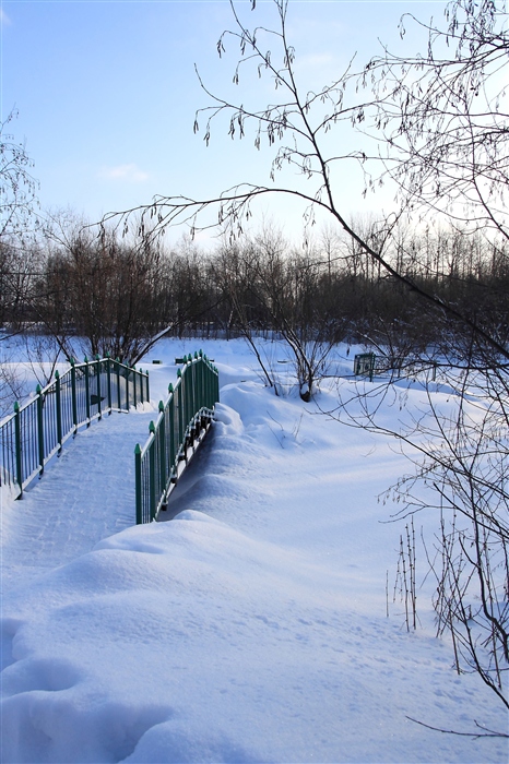 Фото жизнь