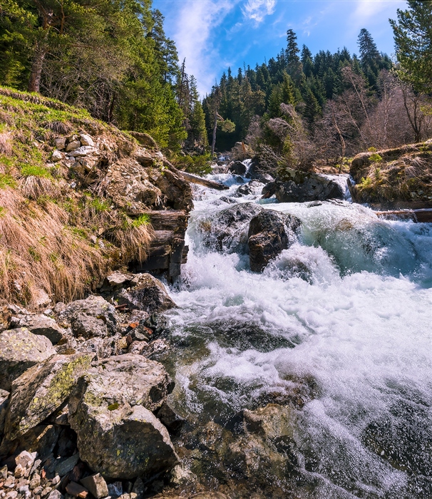 Фото жизнь