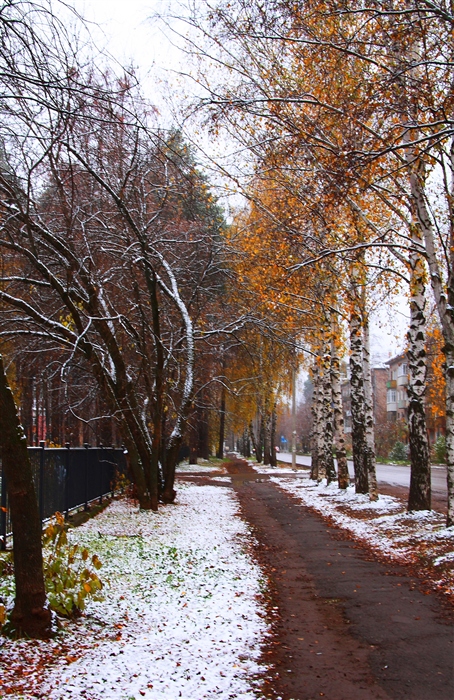 Фото жизнь