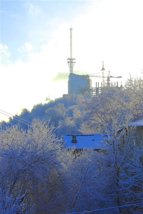 Фото жизнь