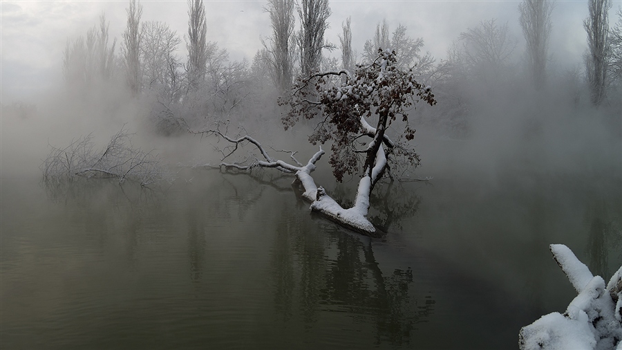 Фото жизнь
