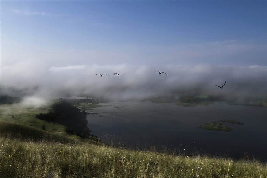Фото жизнь