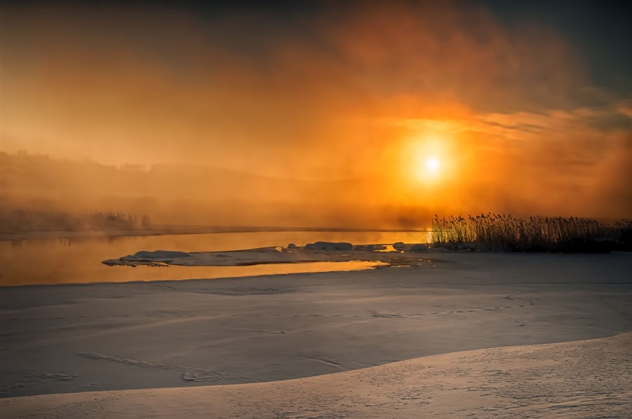 Фото жизнь