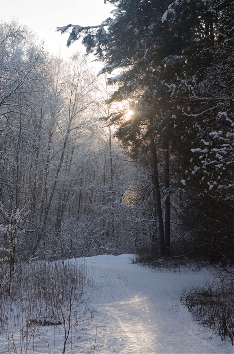 Фото жизнь