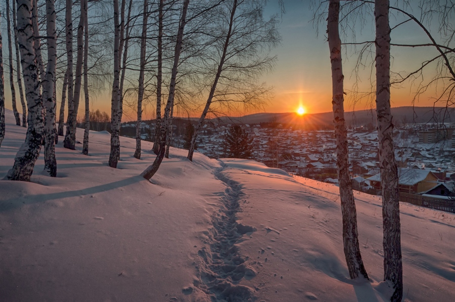 Фото жизнь