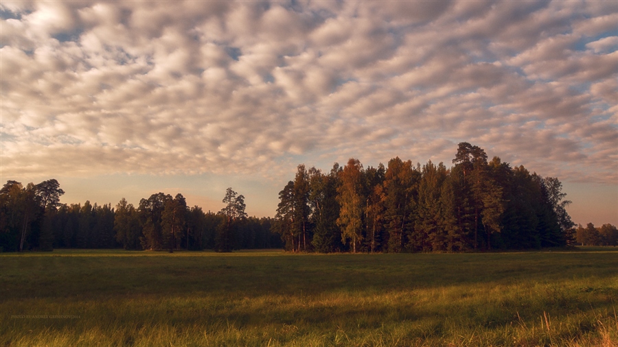 Фото жизнь