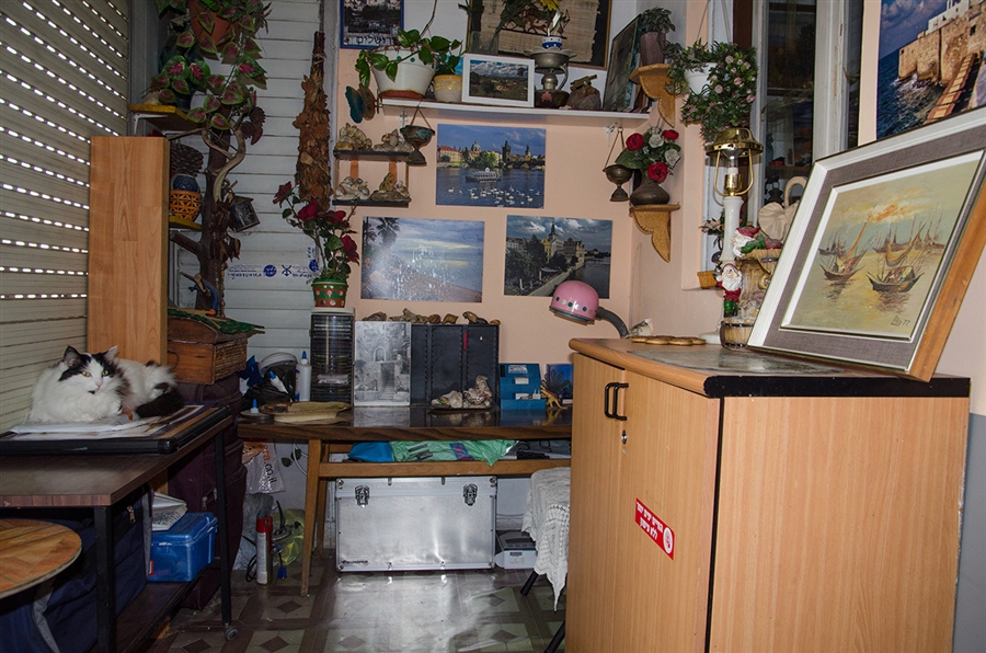 Фото жизнь