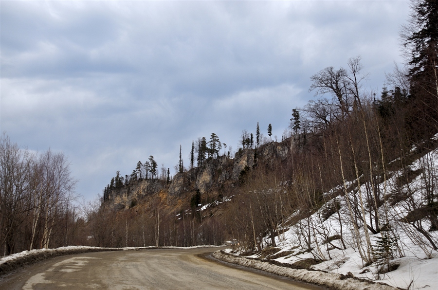 Фото жизнь