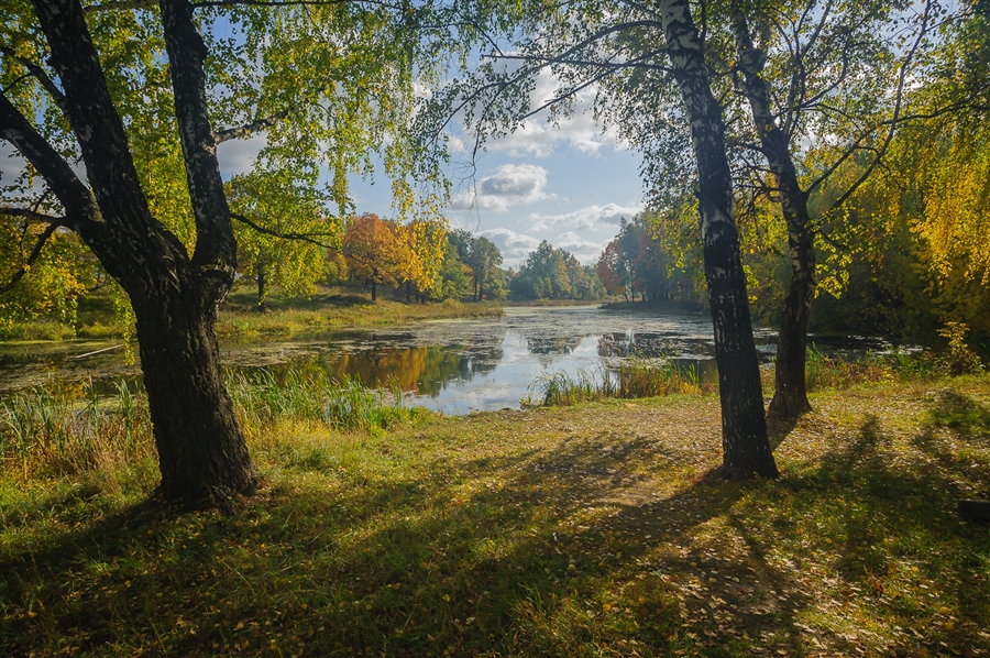 Фото жизнь