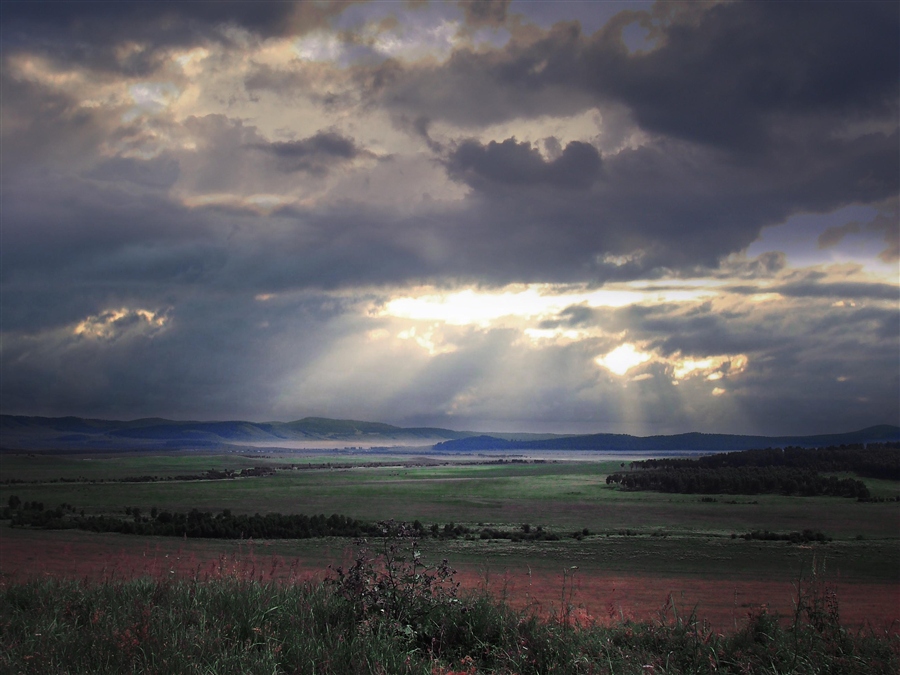 Фото жизнь