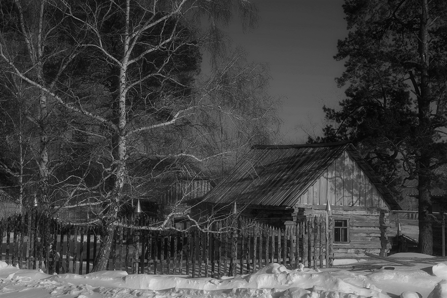 Фото жизнь