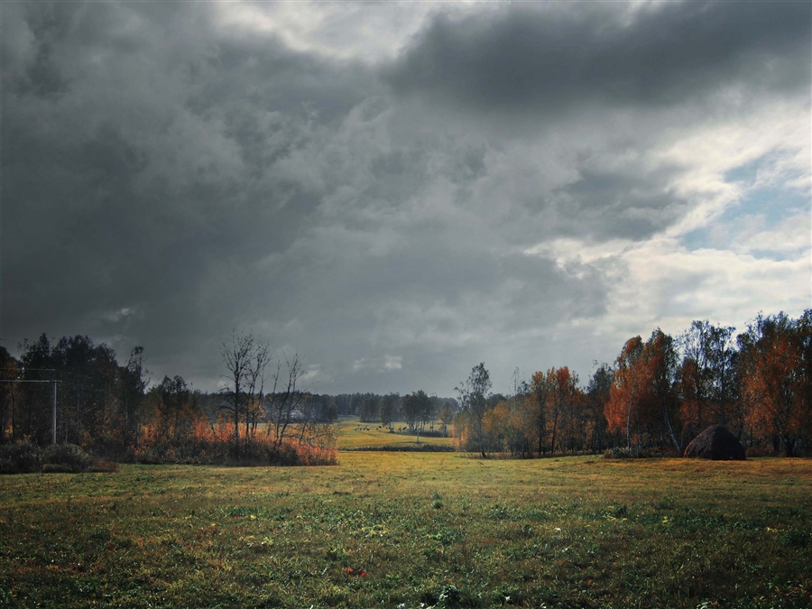 Фото жизнь