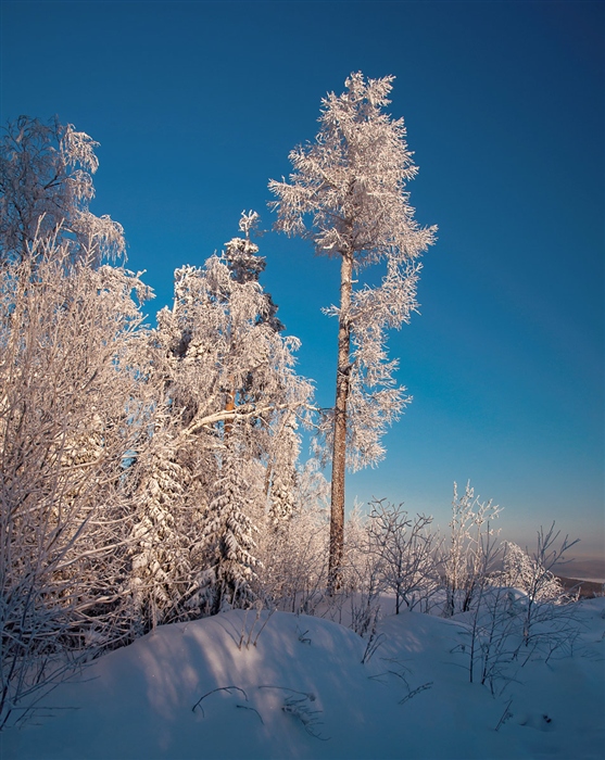 Фото жизнь