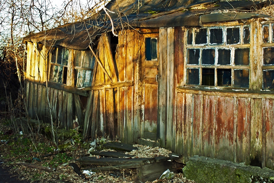 Фото жизнь