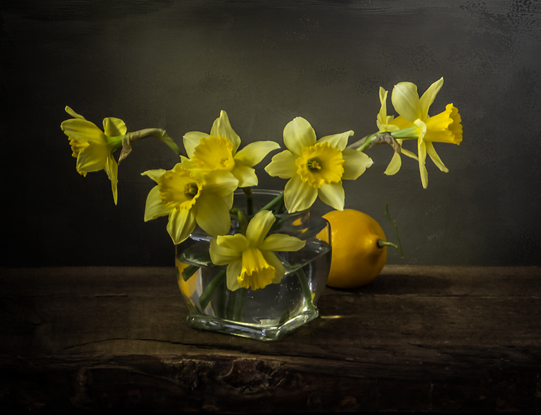 Фото жизнь (light) - Olgaleksandrovna - корневой каталог - Пока цветут нарциссы
