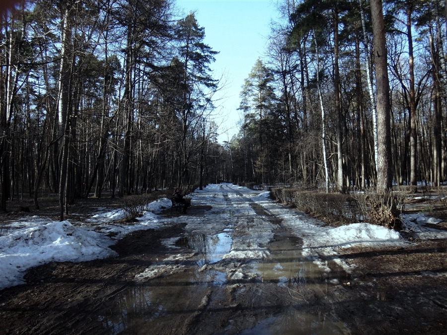 Фото жизнь