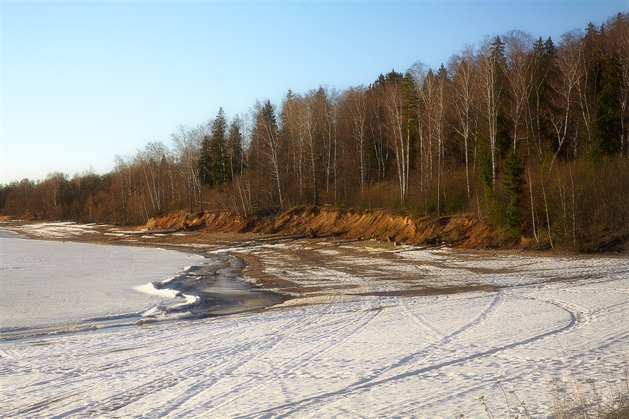 Фото жизнь