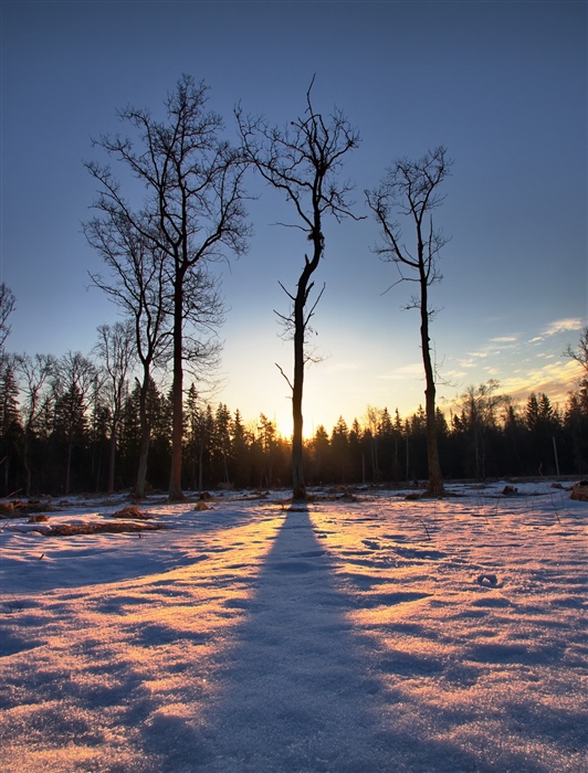 Фото жизнь