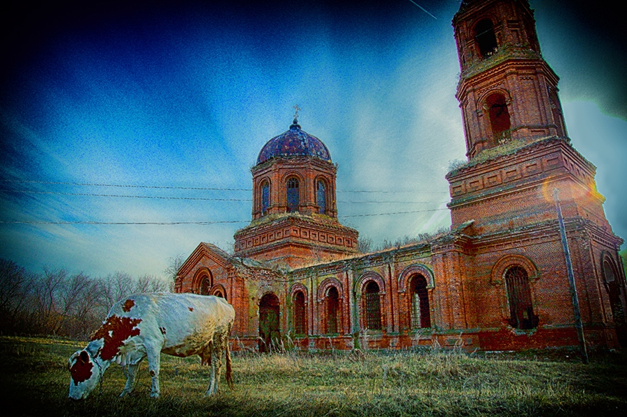 Фото жизнь