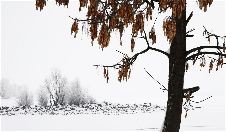 Фото жизнь - Iuriy - корневой каталог - Зимний этюд