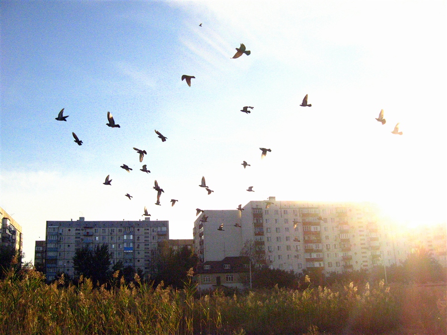 Фото жизнь