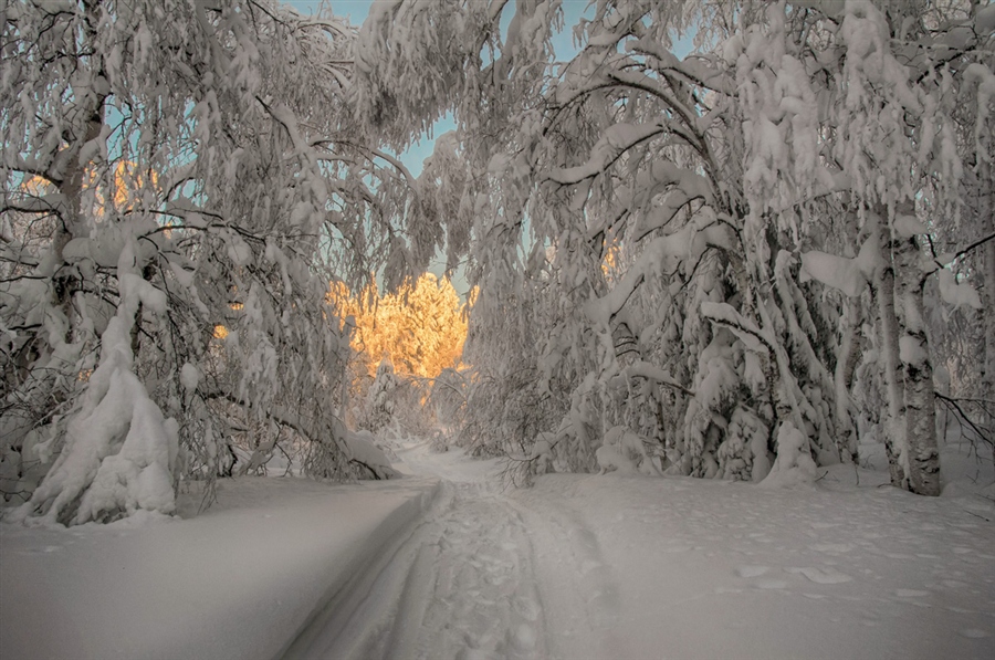 Фото жизнь