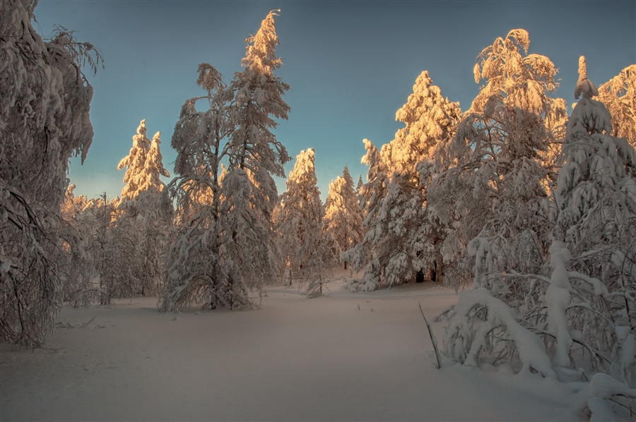 Фото жизнь