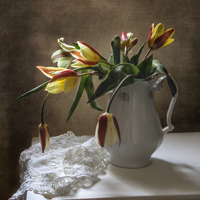 Фото жизнь - Olgaleksandrovna - корневой каталог - Горные тюльпаны