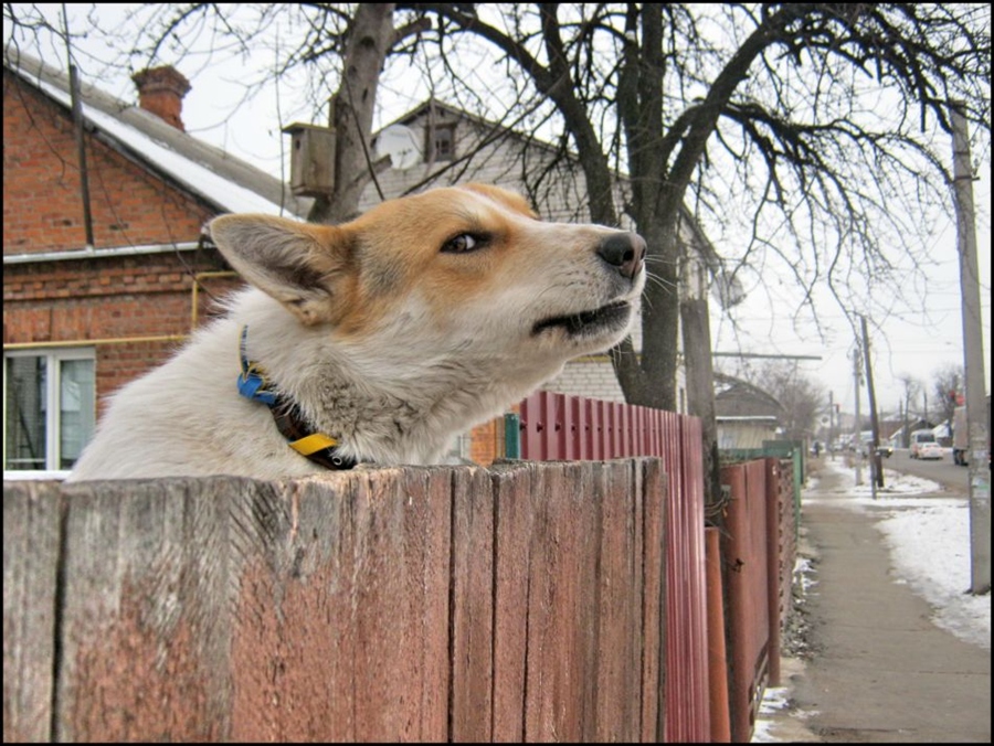 Фото жизнь