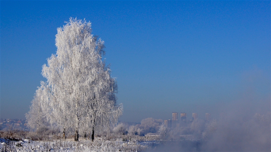 Фото жизнь