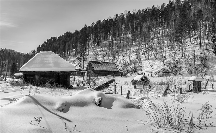 Фото жизнь