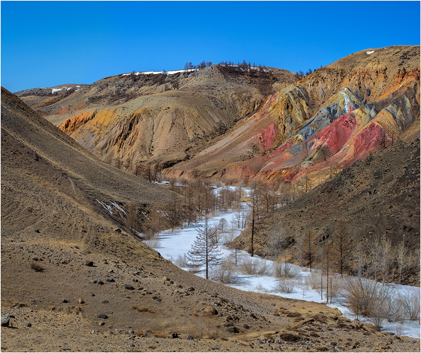 Фото жизнь