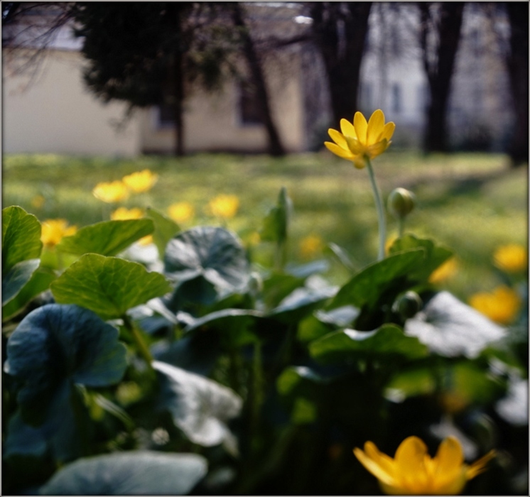 Фото жизнь