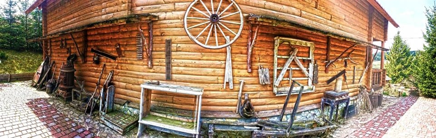 Фото жизнь