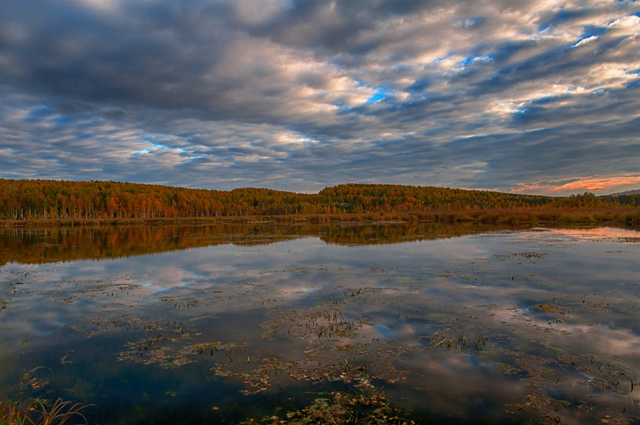 Фото жизнь