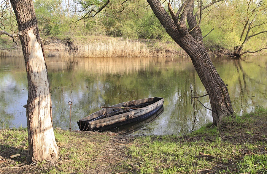 Фото жизнь