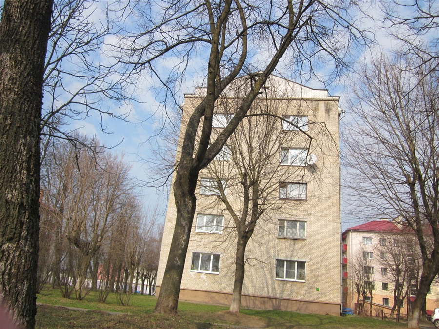 Фото жизнь