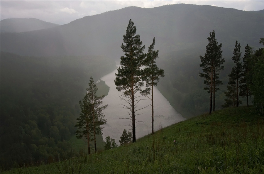 Фото жизнь