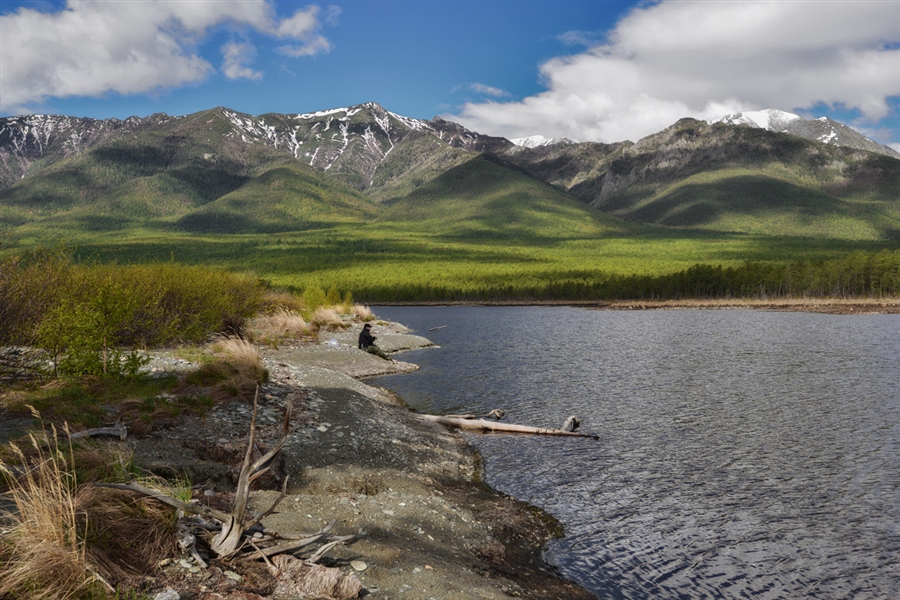 Фото жизнь