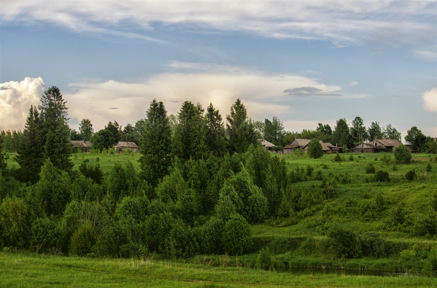 Фото жизнь