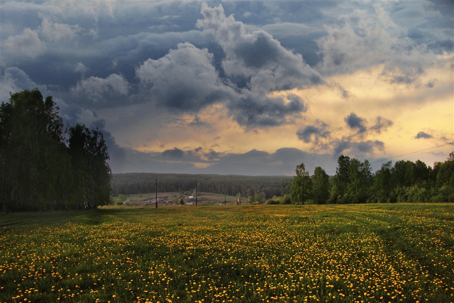 Фото жизнь