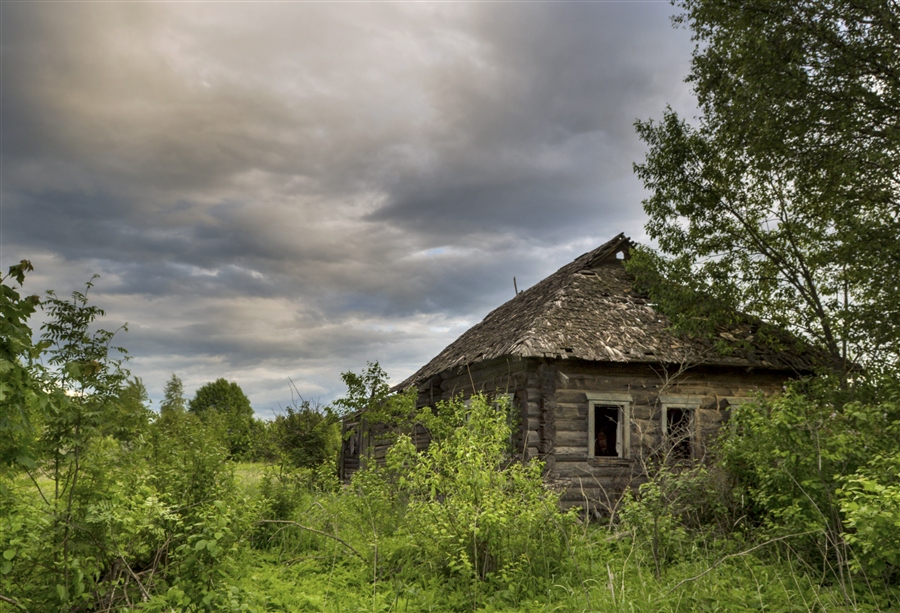 Фото жизнь