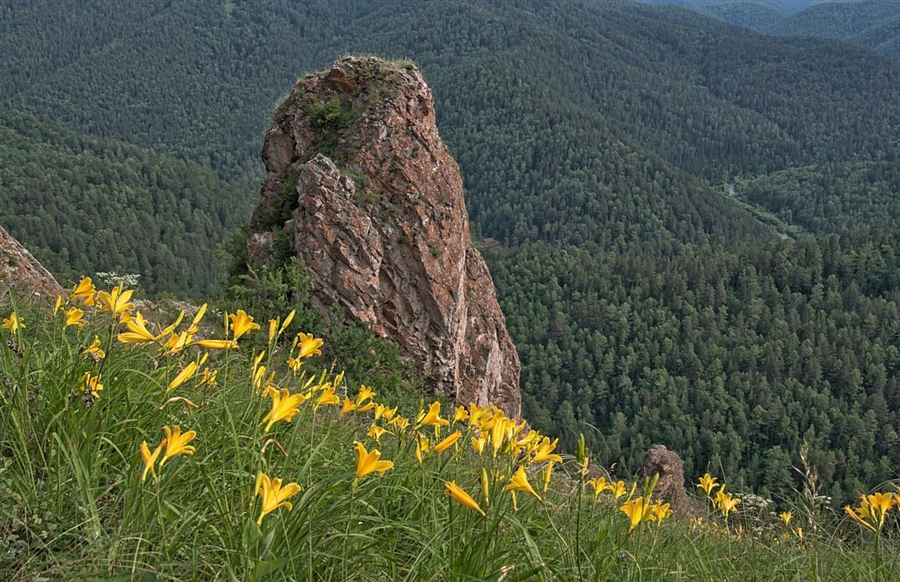 Фото жизнь