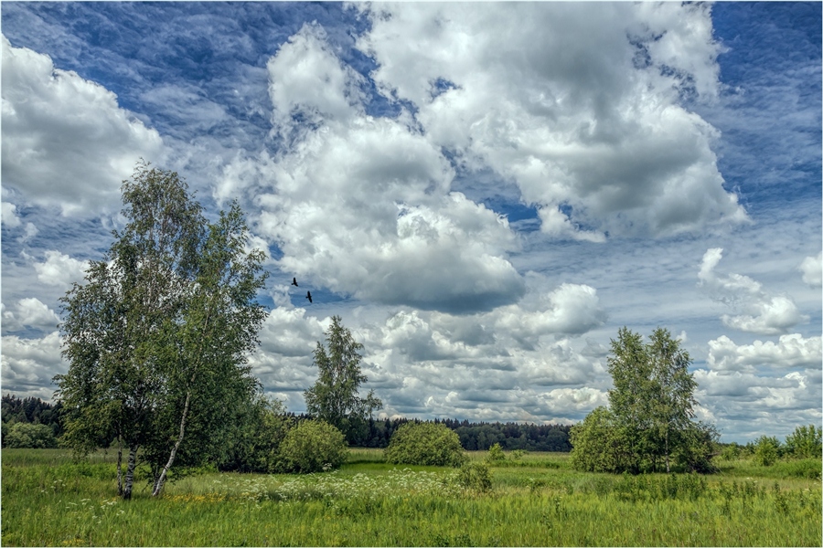 Фото жизнь