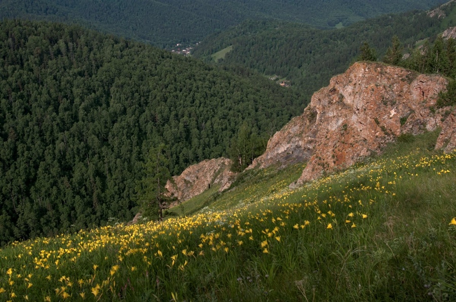 Фото жизнь