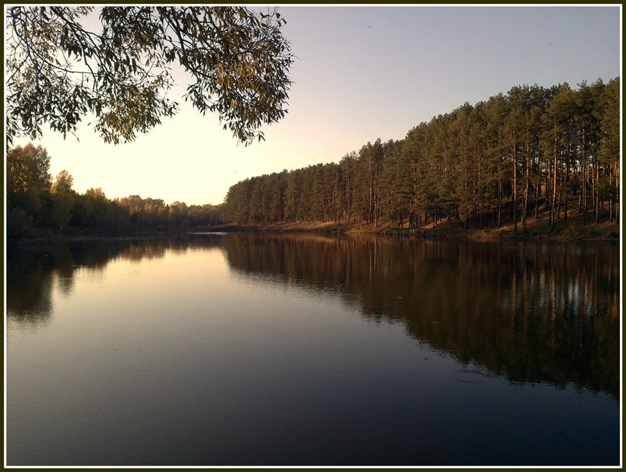 Фото жизнь
